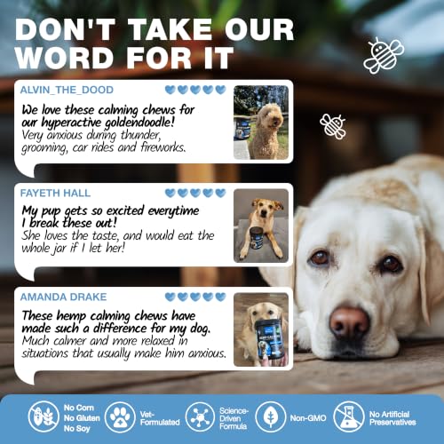 Hemp Calming Chews for Dogs Anxiety Relief & Calming Treats with Melatonin (180 count / Duck Flavor Calming Chews)