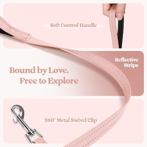 Dog Harness Small Sized and Leash Set (Pink / Xs (chest: 13.3 - 15.5"))