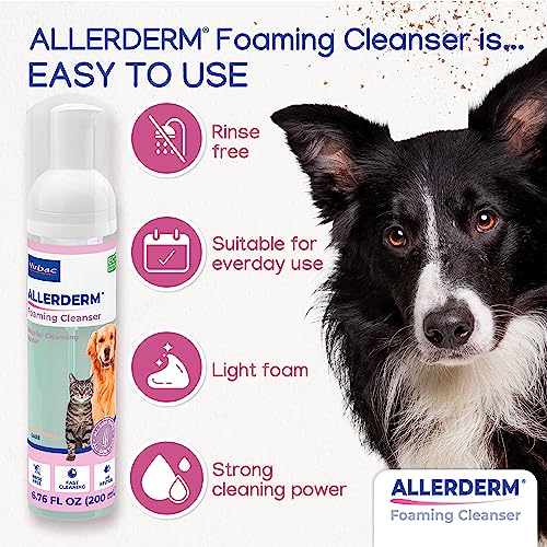 ALLERDERM Foaming Cleanser