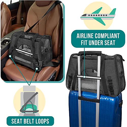 Airline Approved Pet Carrier Cats Small Dogs (Charcoal / 17.0"L x 10.2"W x 11.2"H)