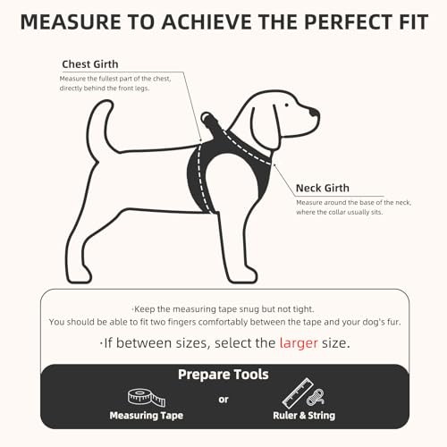 Dog Harness Collar and Leash Set No Pull for Small Medium Sized (Black&White (Checkered) / XS (CHEST 13"-14.5"))