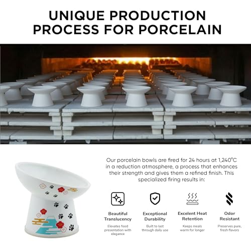 Necoichi Porcelain (Fuji / Regular Tilted)