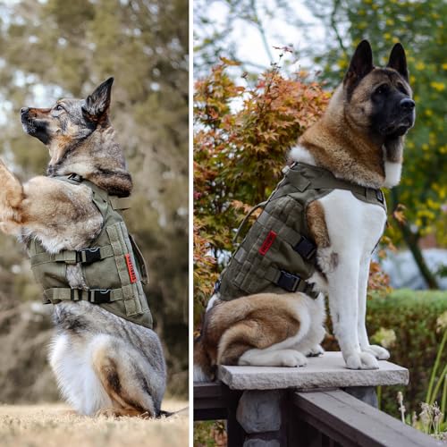 No Pull Tactical Dog Harness for Medium Dogs (Green / L)
