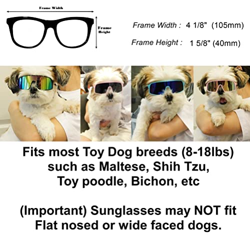 G029 Small Dog Breed 8 (S, 8-18 lbs, Sport Turbo Black)