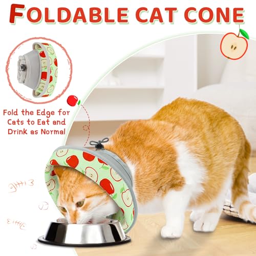 Cat Cone Collar Soft to Stop Licking (AppleRed / M)