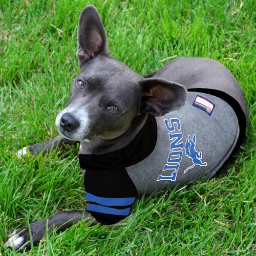 NFL Detroit Lions Hoodie for Dogs & Cats (Medium / Detroit Lions)