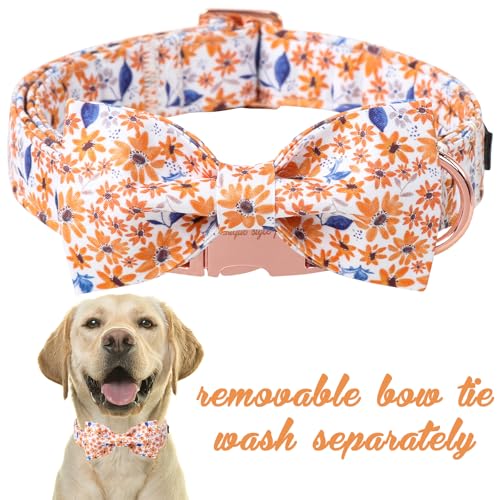 Autumn Leaf Collar with Bow Blue Leaf Flower Cotton Dog Collars for Small Medium Large Dogs (Medium / Leaf flower)