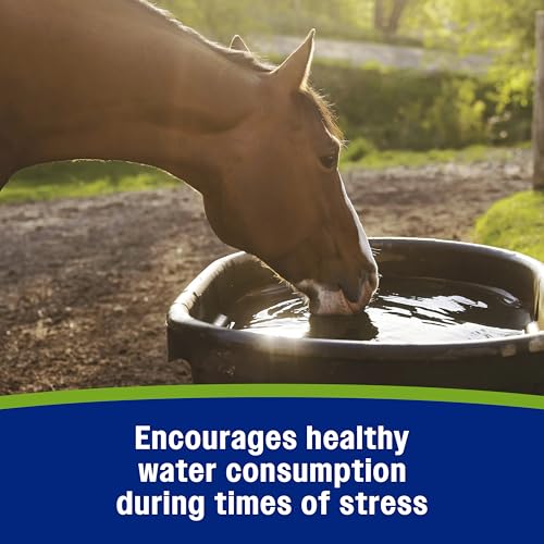 Apple Elite Electrolyte Paste Supplement for Horses (60 cc)