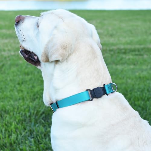 Biothane Waterproof Dog Collar with Herm Sprenger Black Stainless Steel Quick Release Buckle (W 3/4" x L 12"-19" / Sky Blue)