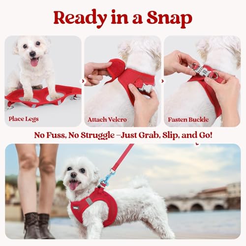 Dog Harness Small Sized and Leash Set (Red / Xxs (chest: 12.4 - 14.2"))