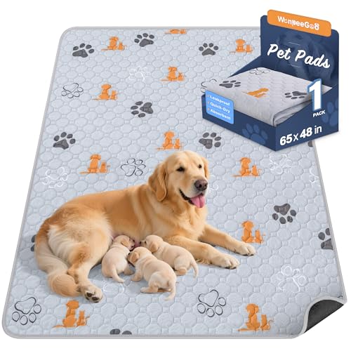 Washable Pee Pads for Dogs (Orange / 65"x48" (Pack of 1))