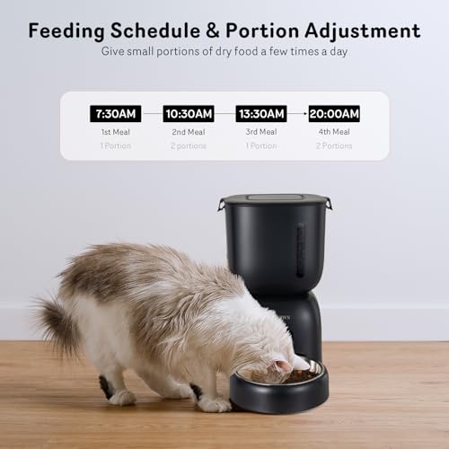 Automatic Cat Feeder and Water Dispenser FW1 (Black)
