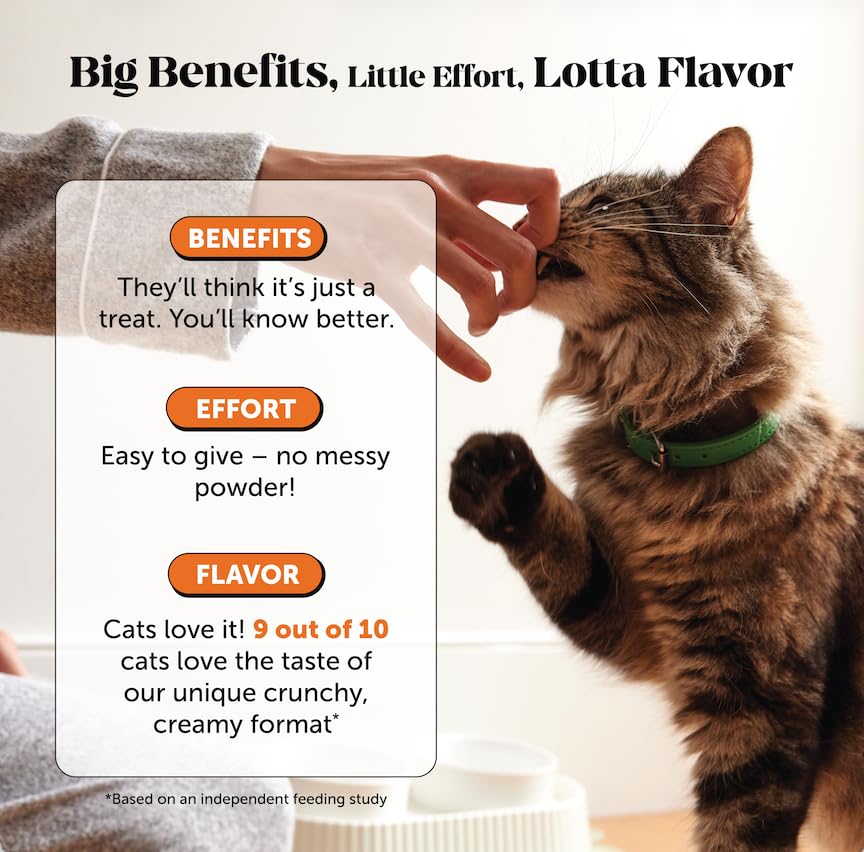Vet Backed Senior Cat Joint Supplement (90-Day Supply)