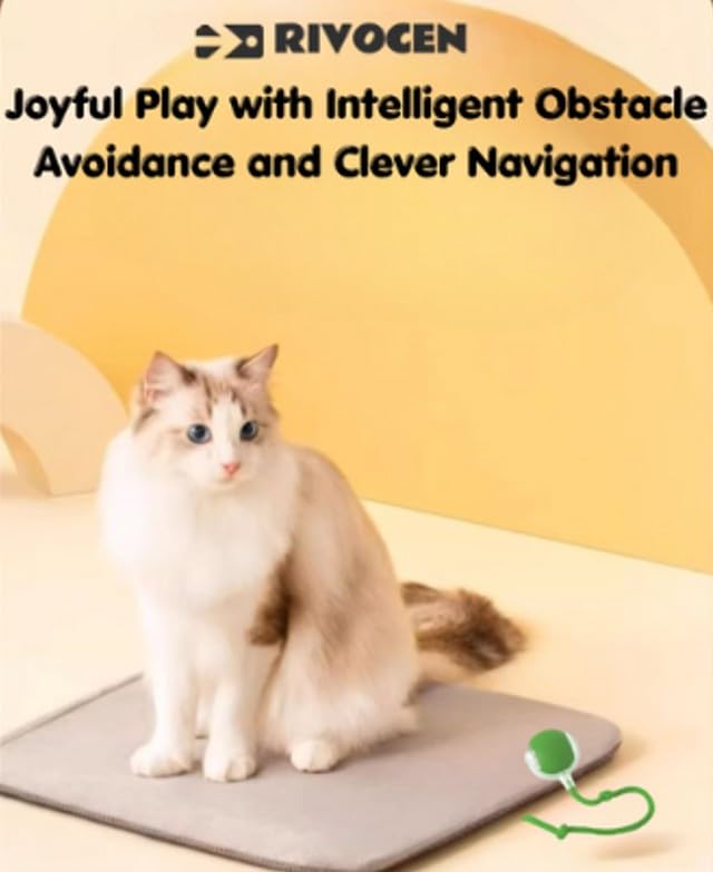 Indoor Cat Interactive Toy 360 (Green)