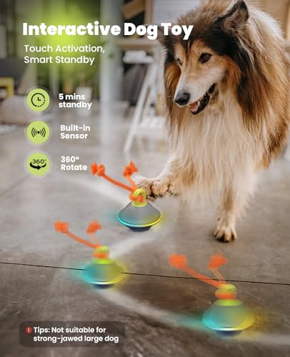 Interactive Dog Ball with Rope (Blue)
