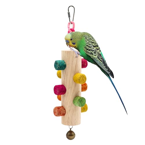 Cylinder Bird Chew Toy (1 Pack-Cylinder Cork Stick)