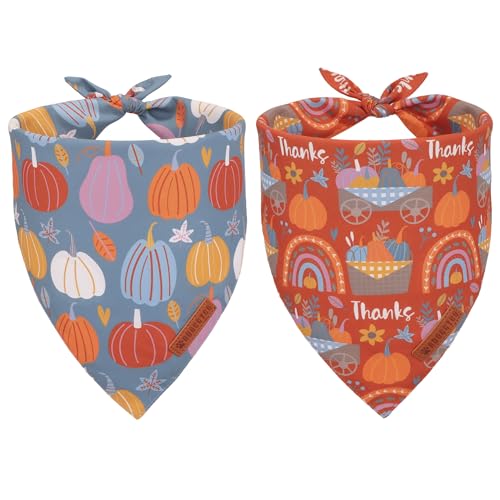 Thanksgiving Dog Bandana (Large / Thanksgiving)