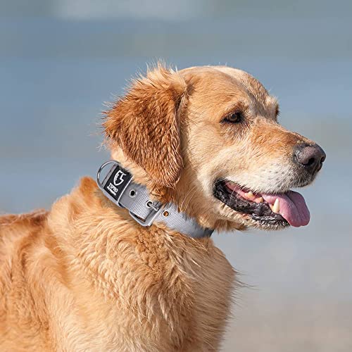 Heavy Duty Thick Dog Collar with Metal Buckle for Large Dogs (L – Fits Neck 18.9"-21.7" / Basic Silver)