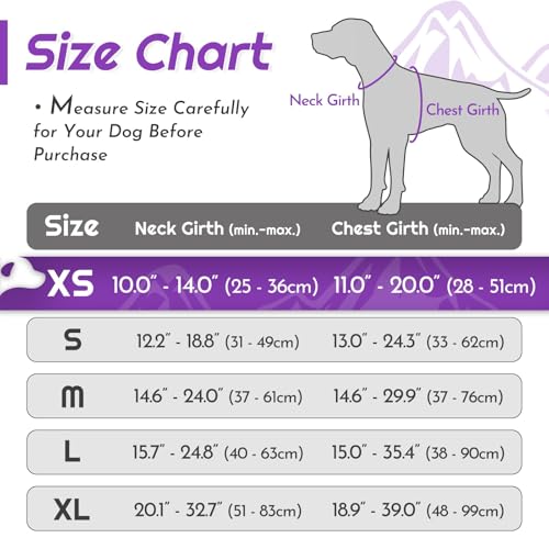 Dog Harness for Small Dogs (X-Small / Purple)
