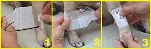 Basic Leg Bandages for Dogs (Small 12-Pack)