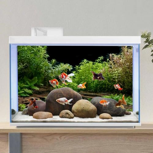 Aquarium Background Aquatic Plant Fish Tank Background Vinyl 36x18 inches (36x18in/90x45cm)