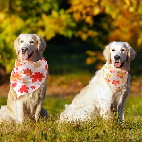 100 Pieces Thanksgiving Dog Bandanas Bulk Fall Autumn Pet Bandanas for Small Large Dogs with Maple Leaves Patterns Triangle Scarf Bib Kerchief Set Costume Accessories (Maple / 31.5 x 21.7 x 21.7")