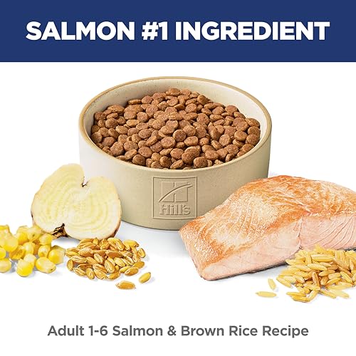Adult 1 6 Dry Cat Food (3.5 Pound (Pack of 1))