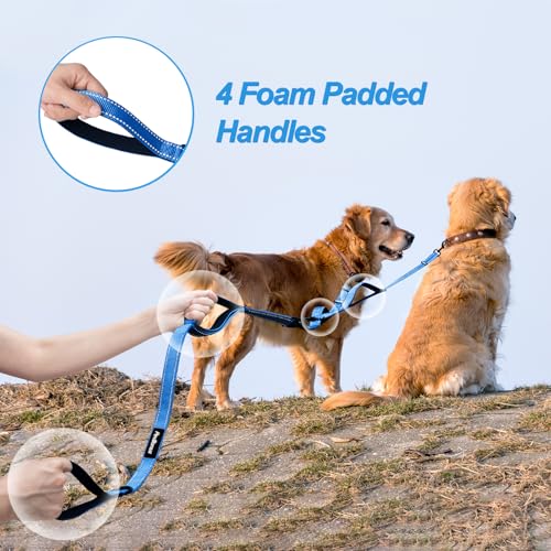 Double Dog Leash (Light Blue)
