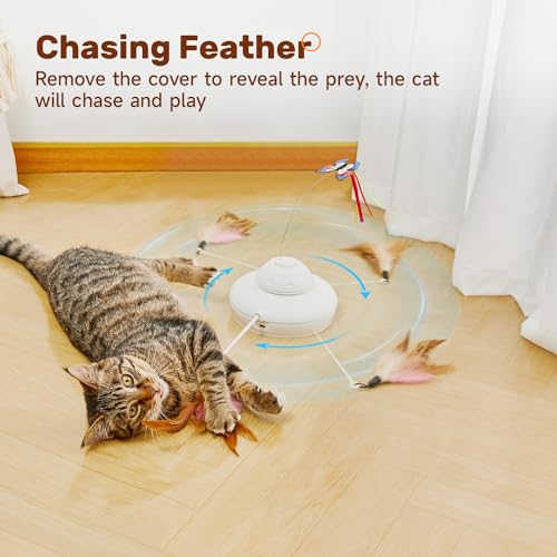 Cat Toys Chargeable (Vibrant Bohemian)