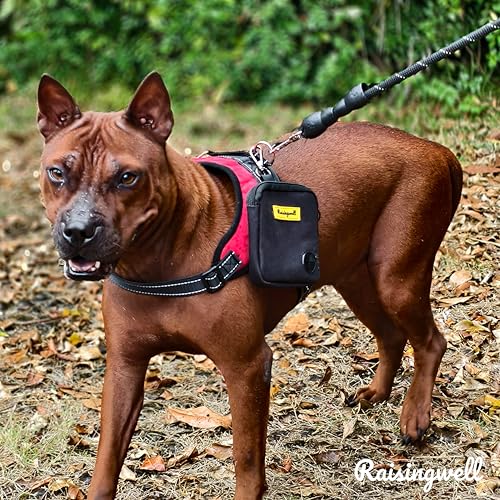 Dog Treat Pouch for Pet Walking and Training with Clicker Poop Bags Small Fanny Zipper Pack Holder for Puppy Snack Dispenser Kit for Leash and Outdoor Use (One Bag / a1.Black)
