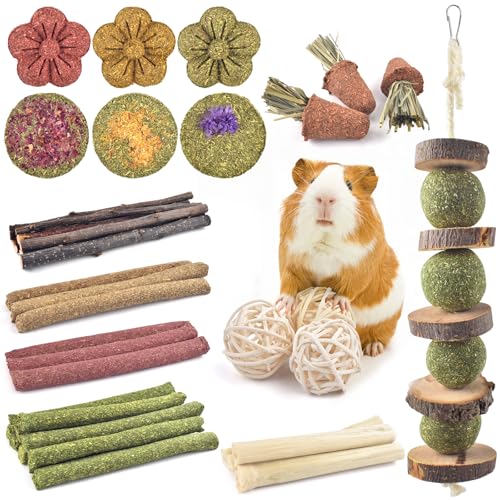 42PCS Rabbit Chew Toys (42)