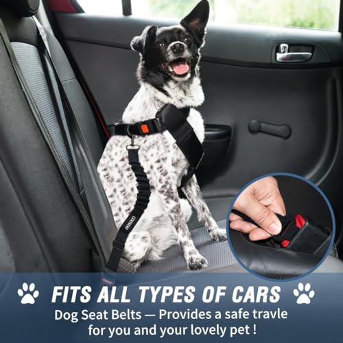 Dog Seat Belt (06-Gray Blue)
