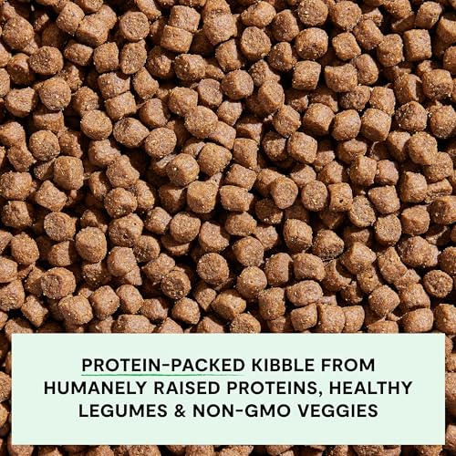 Grain Free Dry Dog Food (22 Pound (Pack of 1))