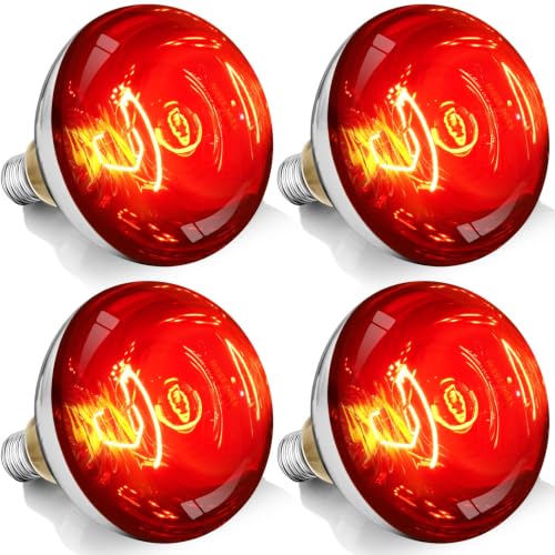 250W R40 Red Heat Lamp Bulbs (Red / 4 Pack)