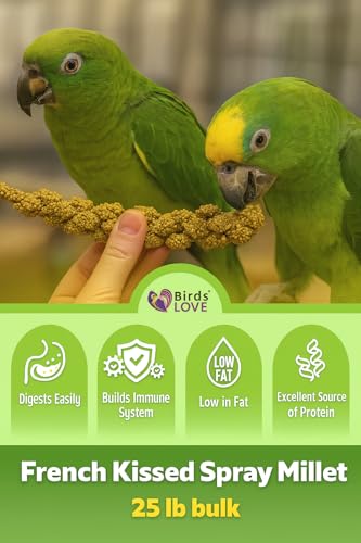 25lbs French Kissed Spray Millet for Birds (25lb)