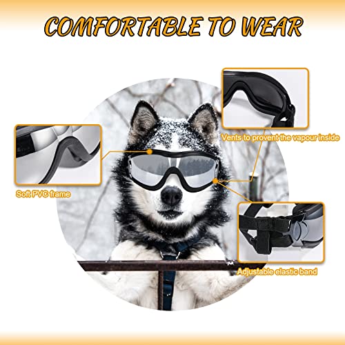 Dog Sunglasses