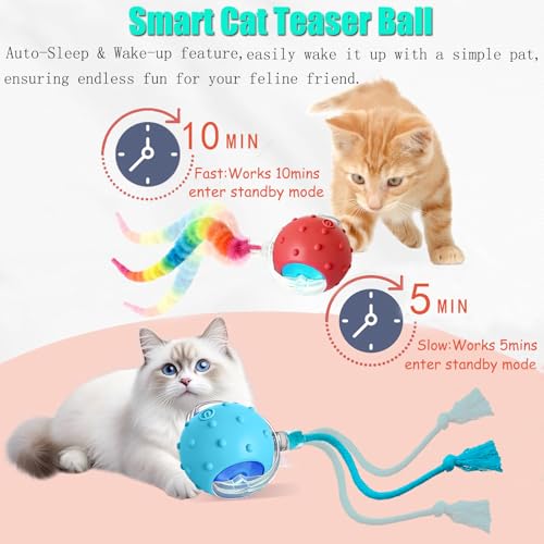 2PCS Interactive Cat Toys for Indoor Cats with 6 Tails (2pc R+B)