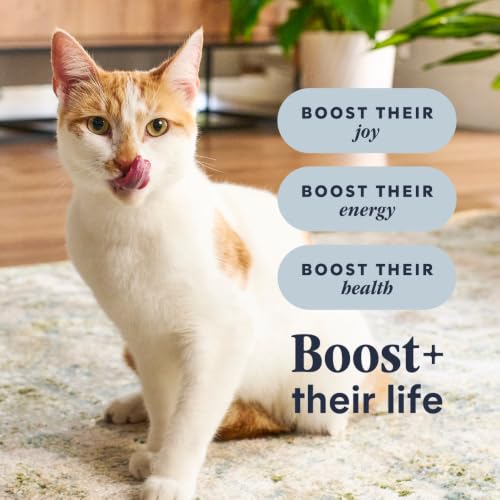 RawBoost Dry Cat Food + Freeze Dried (5 Pound (Pack of 1))