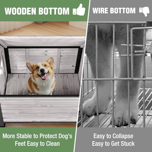 Dog House Outdoor with Anti (Dog House)