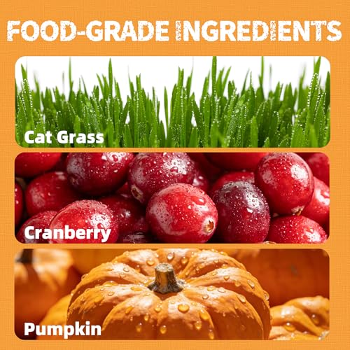 Cat Grass Treats with Cranberry & Pumpkin (2.25 Pound (Pack of 1))