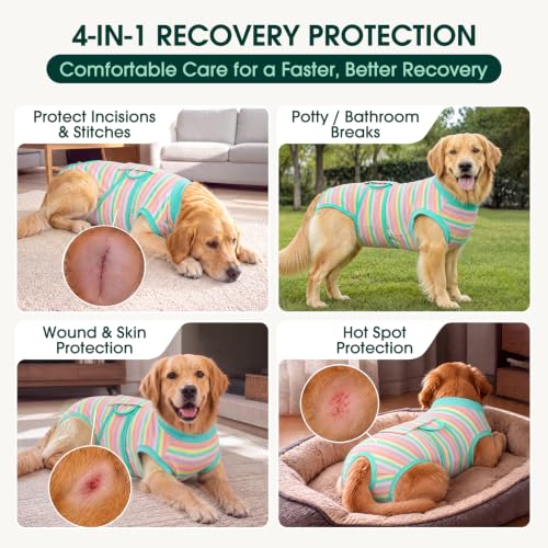 Recovery Suit for Dogs Cats (Large (Back:16.1-20.1'', Weight:23-48 Lb) / Pastel Stripe)