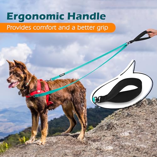 Two Point Control Dog Leash (Turquoise)