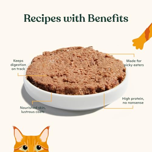 Pate Wet Cat Food Variety Pack