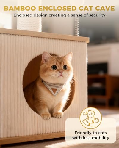 Small Cat Tree for Indoor Kittens (Ash Wood Finish / Small)
