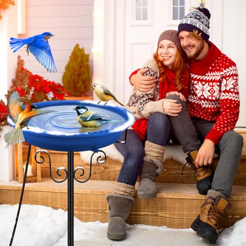 Heated Bird Bath for Outdoors Winter (Blue)