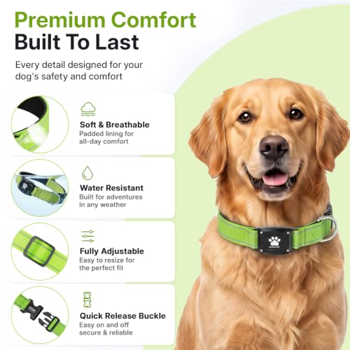 GPS Dog Collar with Tracker (Green / XS(10.5''-13.5''))