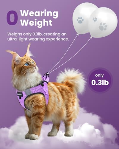 Cat Harness and Leash Set (Modern Violet / L(Chest 12-14"))