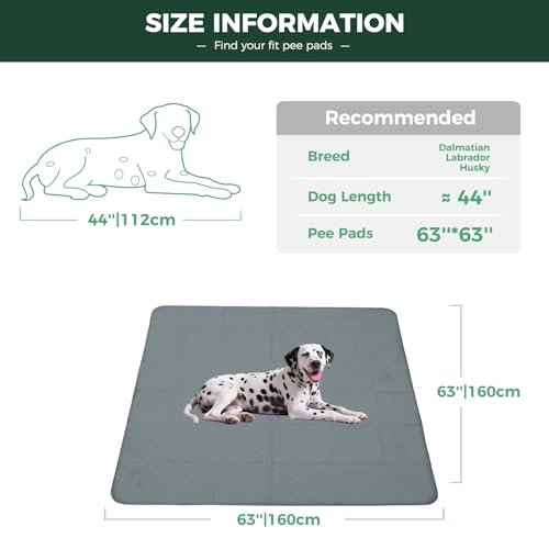 Washable Pee Pads for Dogs (Gray / 63" Square (1 Pack))