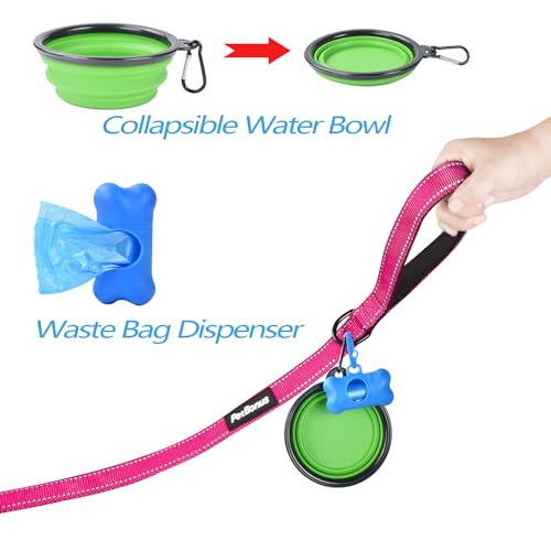 Double Dog Leash (Pink)