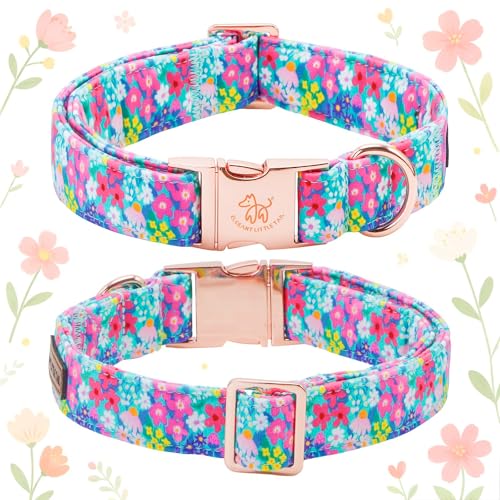 Spring Floral Dog Collar (Flower&Wild Berries / Medium (Pack of 1))